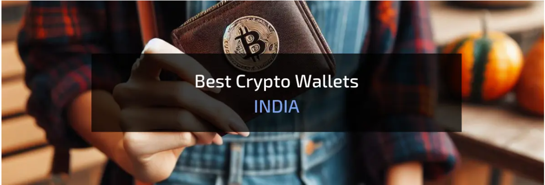 best-cryptocurrency-wallets-in-india